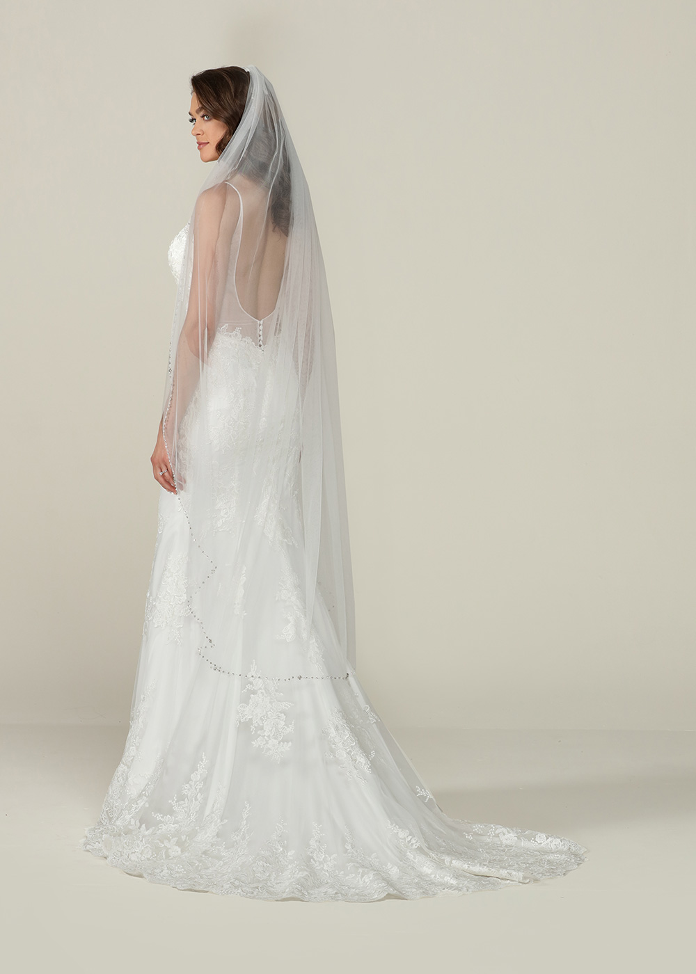 Schedule an Appointment